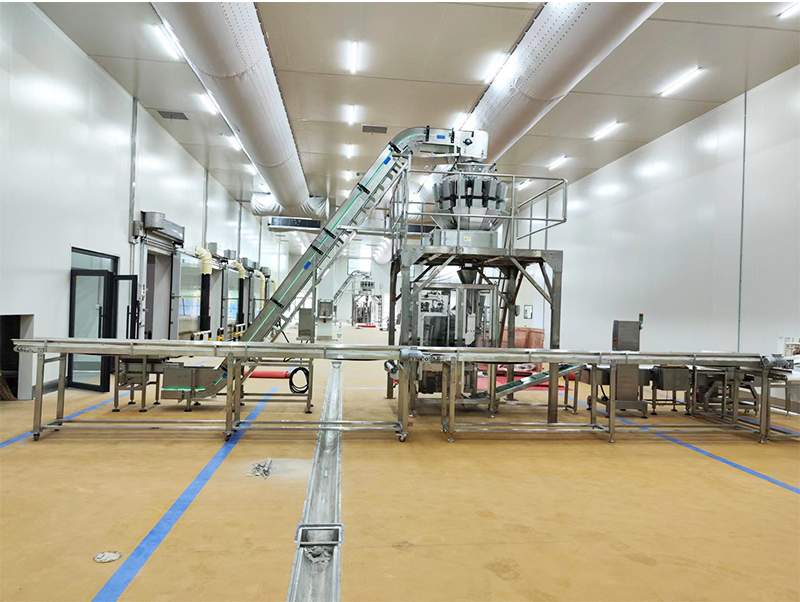 automaatne külmutatud toidu pakkimismasin