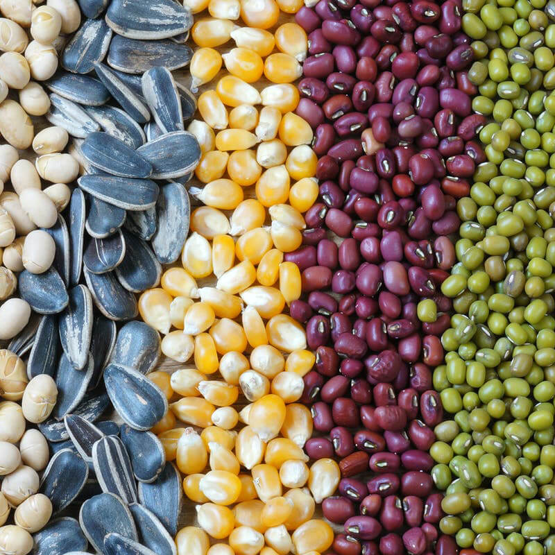 Automaatne seemnete pakkimismasin